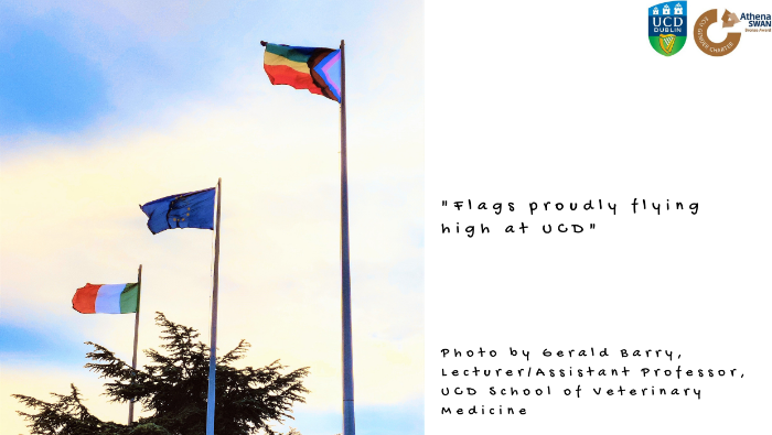 Pride flag at UCD